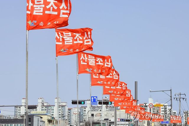 산불 조심 깃발