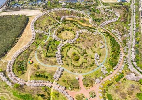 수도권매립지 드림파크 야생화단지