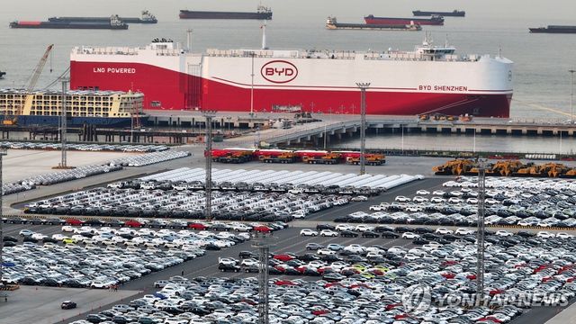 중국 BYD 전기차들