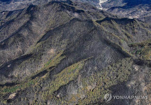 산불 피해지 모습 