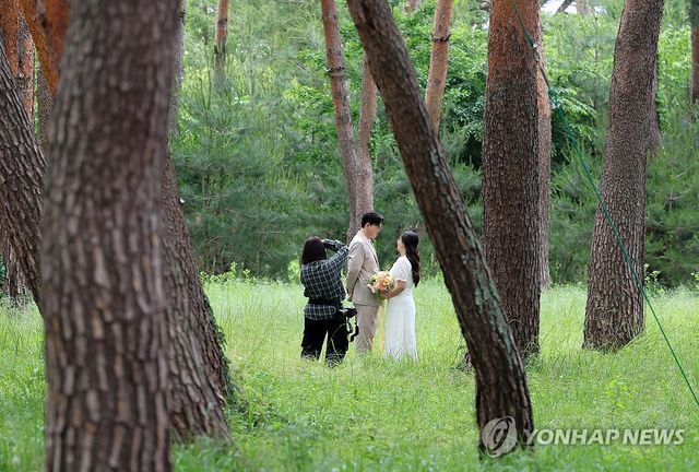 소나무 숲에서 웨딩 촬영하는 커플