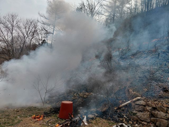 양구 산불 현장