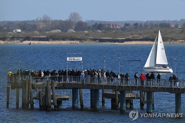 고래 지켜보는 시민들