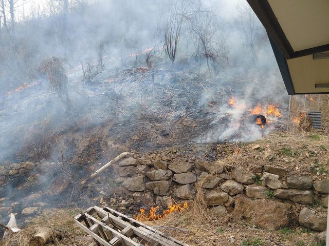양구 산불 현장