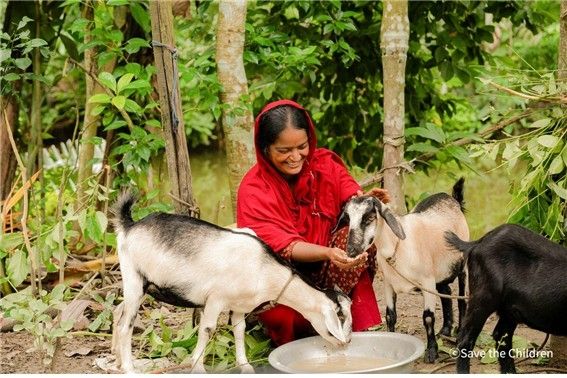 방글라데시 아동이 염소를 돌보고 있다