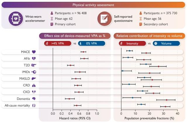 총 신체활동량 대비 격렬한 활동 비율(%VPA)과 만성질환 및 사망 위험 관계 