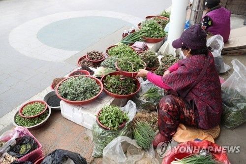 구례 오일장 [연합뉴스 자료사진]