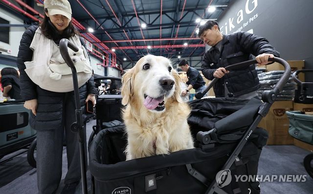 반려동물 산업 박람회 찾은 반려인들