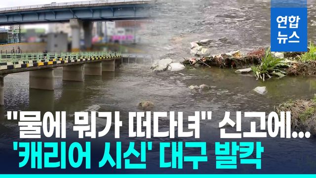[영상] "물에 뭐가 떠다녀"…대구 도심 하천 '캐리어 여성 시신' 충격 - 2
