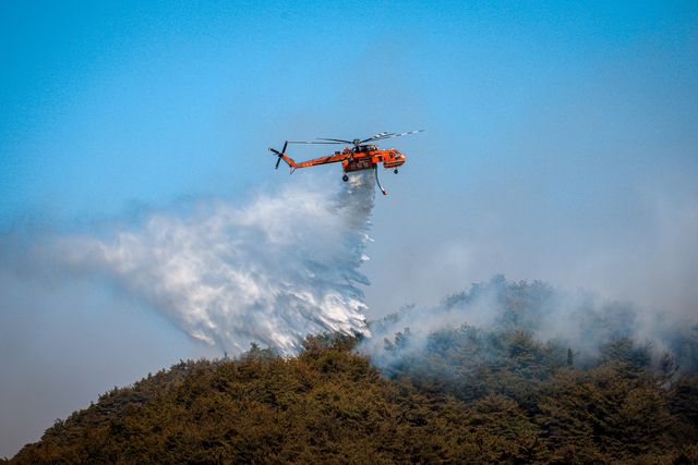 산불 진화 현장