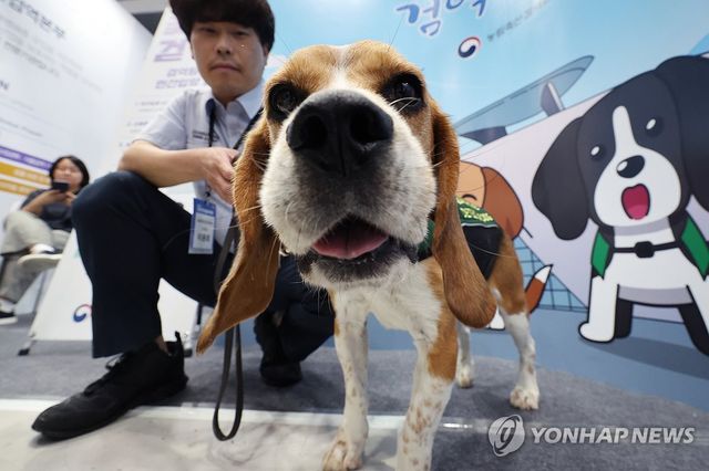 '검역탐지견의 새 가족을 찾아요'