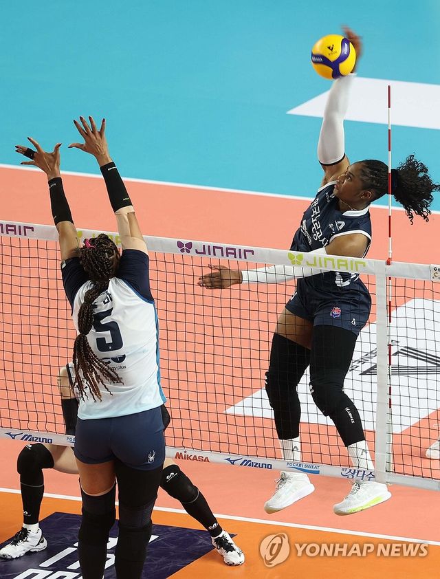 모마 '이쯤이야'