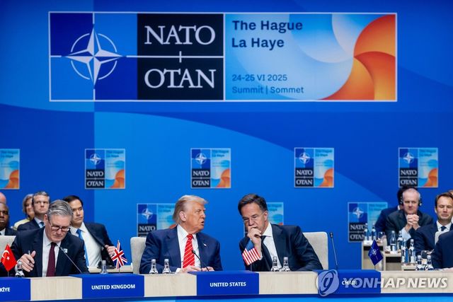 2025년 6월 나토 정상회의