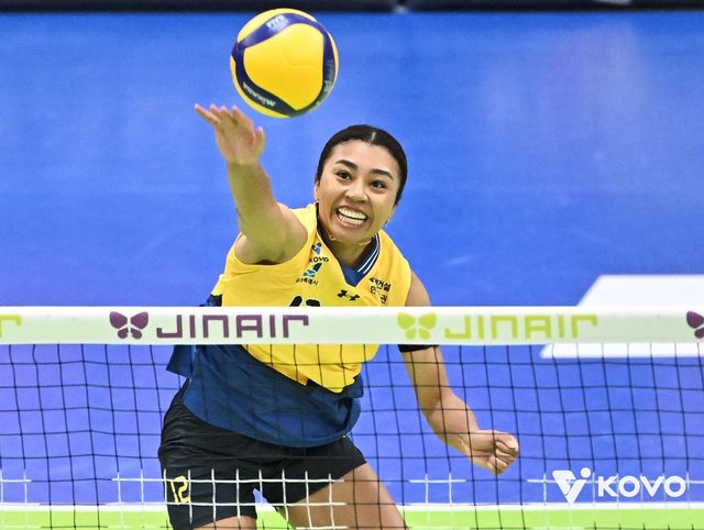 공격하는 현대건설의 자스티스