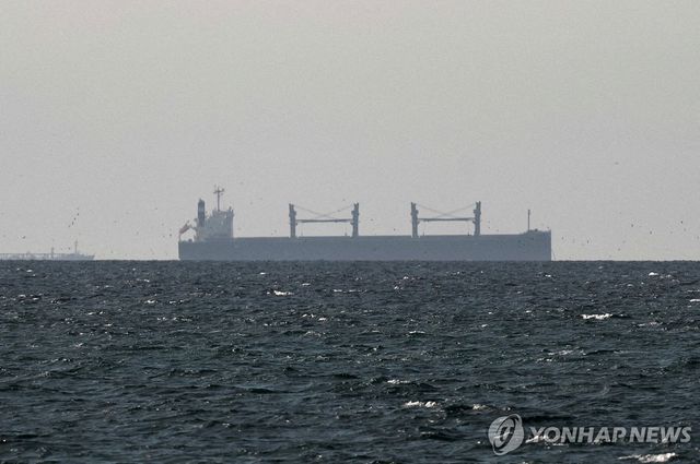 호르무즈 해협 인근의 화물선