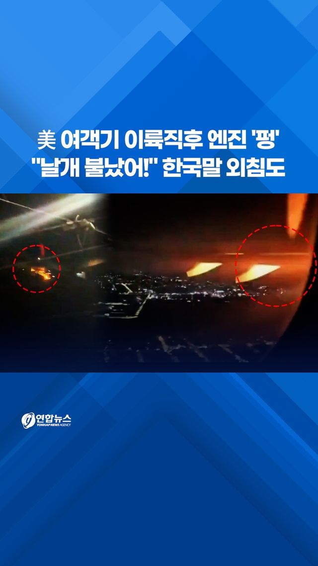 [쇼츠] 美 여객기 이륙직후 엔진 '펑'…"날개 불났어!" 한국말 외침도 - 2