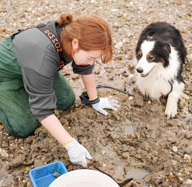 태안서 반려견과 함께 조개 잡고 산책
