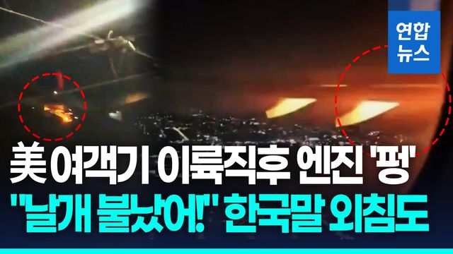 [영상] 이륙 직후 "날개 불났어!"…델타항공 엔진 화재 '공포의 10분' - 2