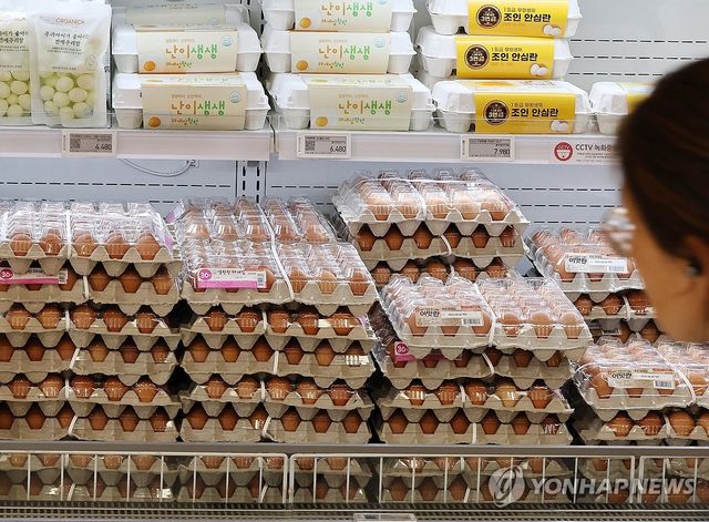 달걀 가격 1년 만에 약17% 올라