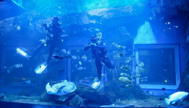 시흥 해양생태과학관