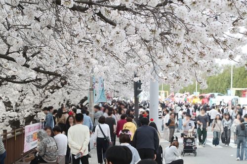 청주예술제 야외행사