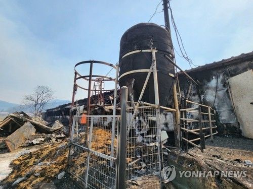 불에 탄 축사 *기사와 직접 관련 없음