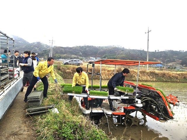 첫 모내기 일손 돕기