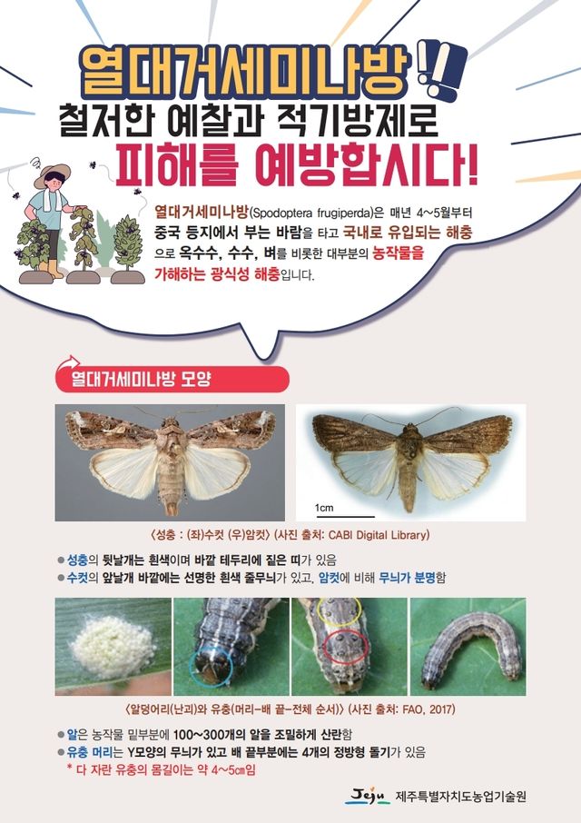 열대거세미나방 방제 홍보물