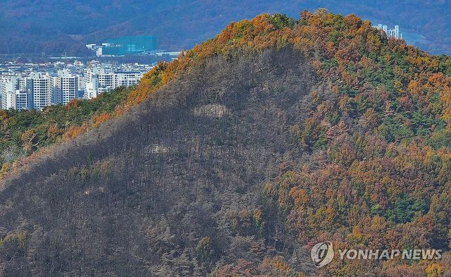 지난해 11월 함지산 모습