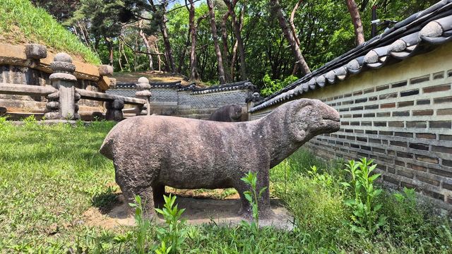 2025년 5월 초순의 건원릉 [촬영 김정선]