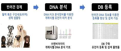 유전자 검사 기반 반려견 개체식별 및 동물등록 서비스