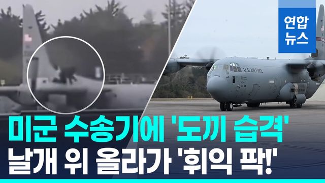 [영상] 미군 수송기 겨냥 '도끼 습격'…아일랜드 공항 괴한 정체는? - 2