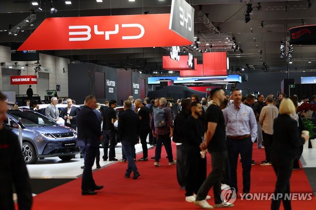 중국 BYD