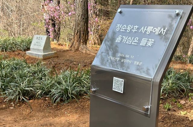 '정순왕후 사릉에서 옮겨 심은 들꽃'