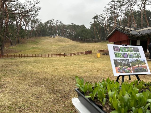 정순왕후를 모신 남양주 사릉 