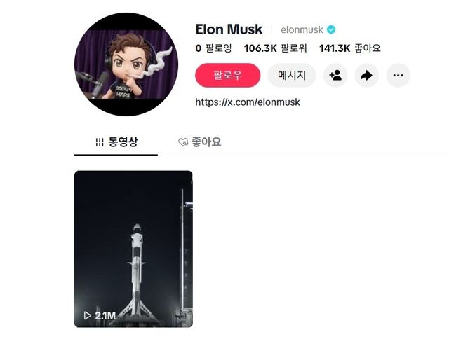 틱톡에 게시된 일론 머스크 인증 계정
