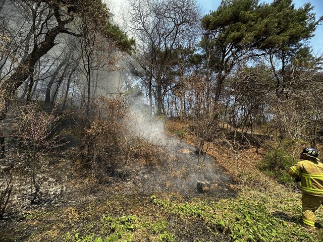 영주 야산 인근 화재