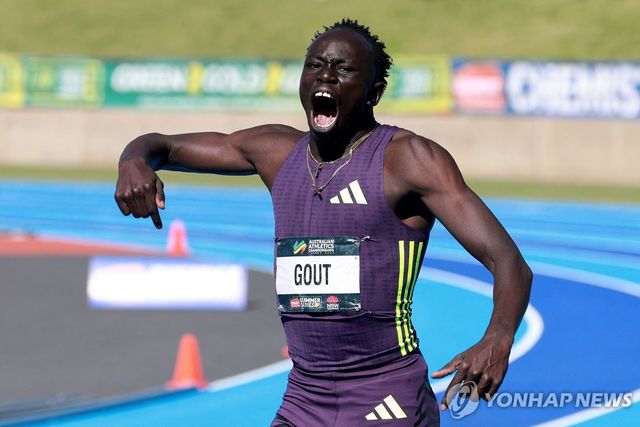 호주 가우트 가우트