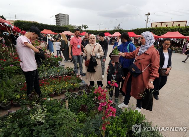 지난해 4월 알젤리 블리다에서 열린 꽃·식물 페스티벌(기사와 직접 연관 없음) [EPA 연합뉴스 자료사진. 재판매 및 DB 금지]