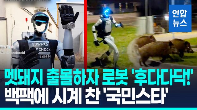 [영상] 멧돼지떼 쫓은 휴머노이드 로봇…추격전은 버거운지 '바이바이' - 2