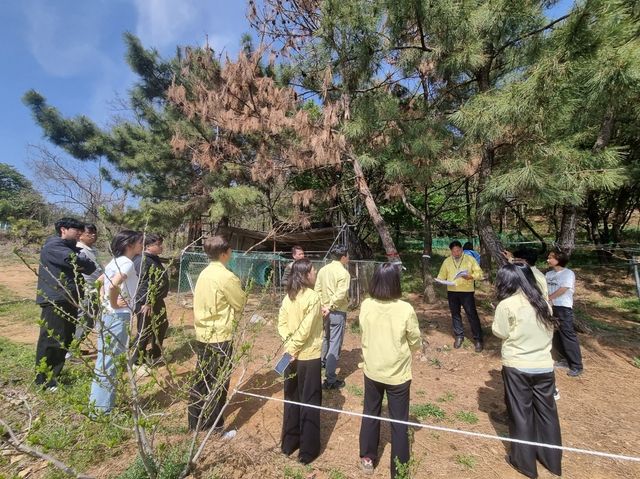 시흥시에 첫 소나무재선충병 발생
