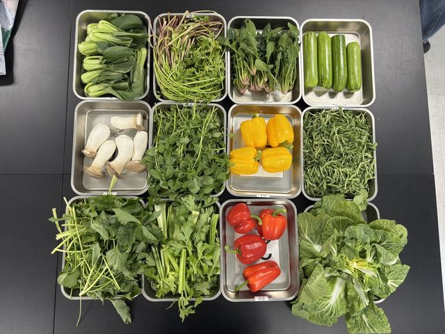 잔류농약 검사 대상 식재료