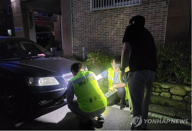 체납차량 번호판 영치