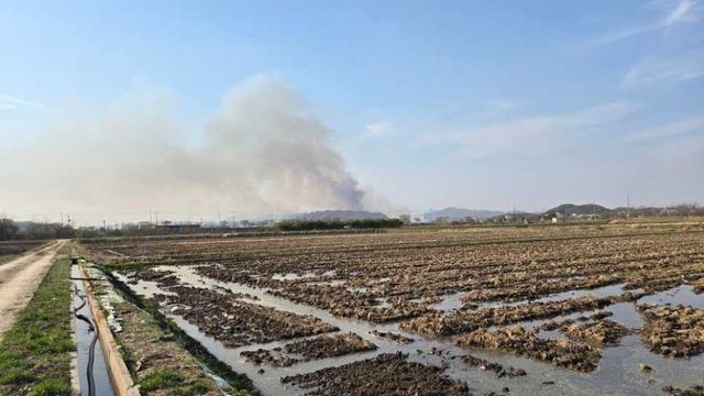 철원 야산 화재 현장