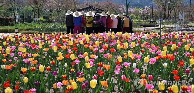 '밀짚모자 쓰고 튤립 구경해요'