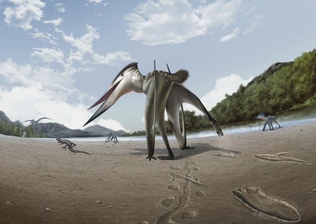 진주 익룡 복원도