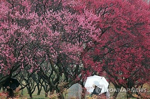 [연합뉴스 자료사진. 재판매 및 DB 금지]