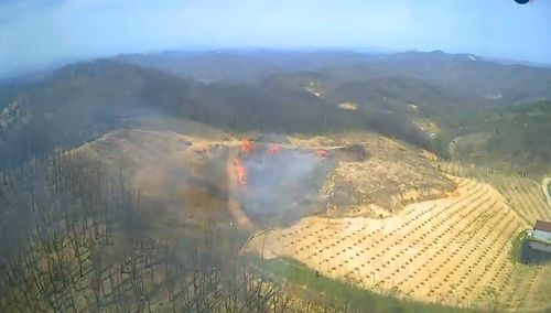 안동시 길안면 과수원 폐목재 화재