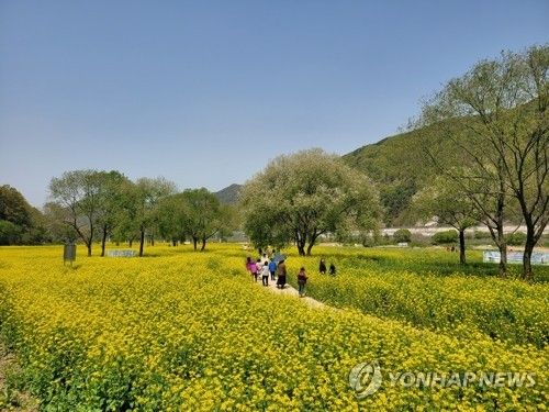 2023년 동이면 금강 친수공원 축제장의 모습