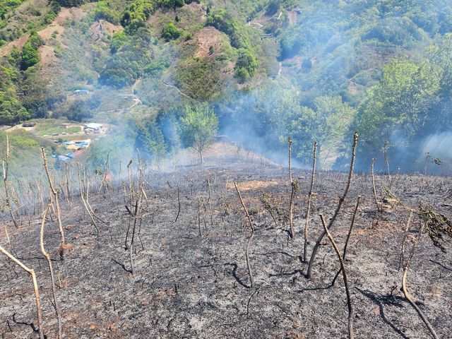 전남 광양 야산서 불